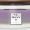 WoodWick Trilogy Heartwick Ellipse Geurkaars - Amethyst Sky