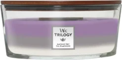 WoodWick Trilogy Heartwick Ellipse Geurkaars - Amethyst Sky