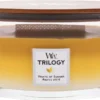 WoodWick Heartwick Flame Ellipse Trilogy Geurkaars - Fruits Of Summer