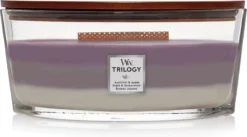 WoodWick Trilogy Heartwick Ellipse Geurkaars - Amethyst Sky 10 WoodWick Trilogy Heartwick Ellipse Geurkaars - Amethyst Sky -WoodWick 1200x667