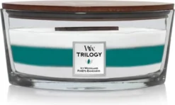 WoodWick Trilogy - Icy Woodland Ellipse Jar