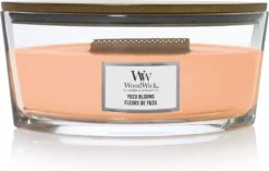 WoodWick Geurkaars Ellipse Yuzu Blooms
