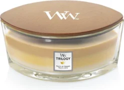 WoodWick Heartwick Flame Ellipse Trilogy Geurkaars - Fruits Of Summer 5 WoodWick Heartwick Flame Ellipse Trilogy Geurkaars - Fruits Of Summer -WoodWick 1200x875