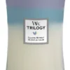 WoodWick Hourglass Large Trilogy Geurkaars - Calmin Retreat
