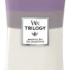 WoodWick Trilogy Hourglass Large Geurkaars - Amethyst Sky
