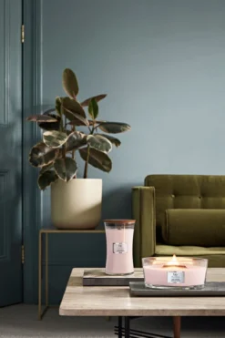 WoodWick Geurkaars Sheer Tuberose Large Candle -WoodWick 800x1200 18