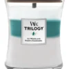 WoodWick Trilogy - Icy Woodland Medium Jar