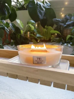 WoodWick Heartwick Flame Ellipse Geurkaars - White Teak -WoodWick 899x1200